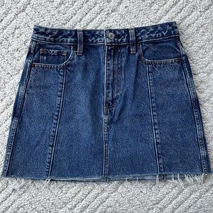 Abercrombie and Fitch Zoe Natural Rise Vintage A-Line Skirt Size 27